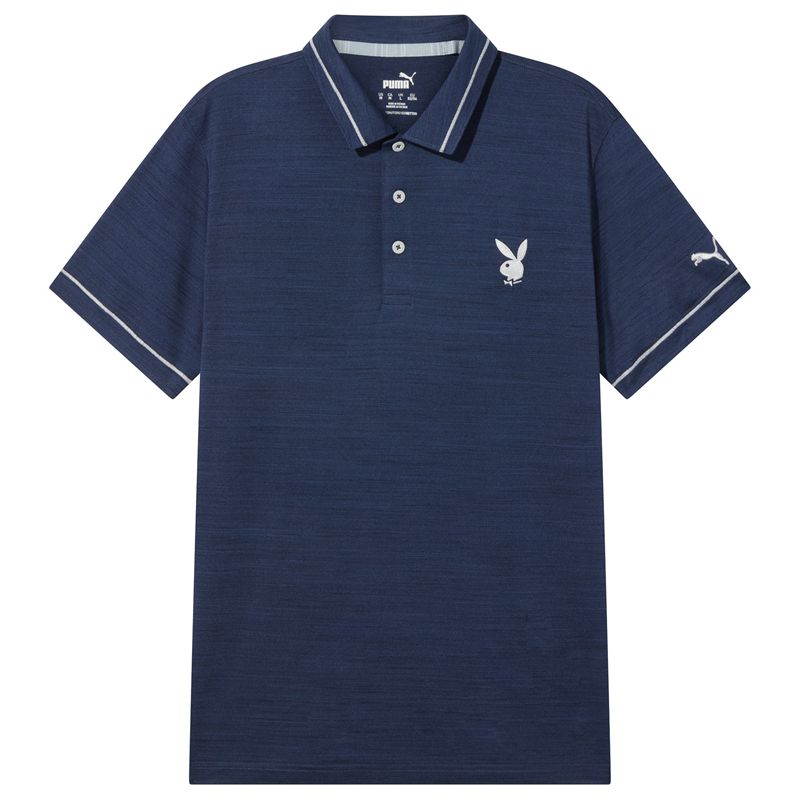 Camisas Playboy Puma Golf Tipped Performance Polo Hombre Grises | 5234-FDJQP