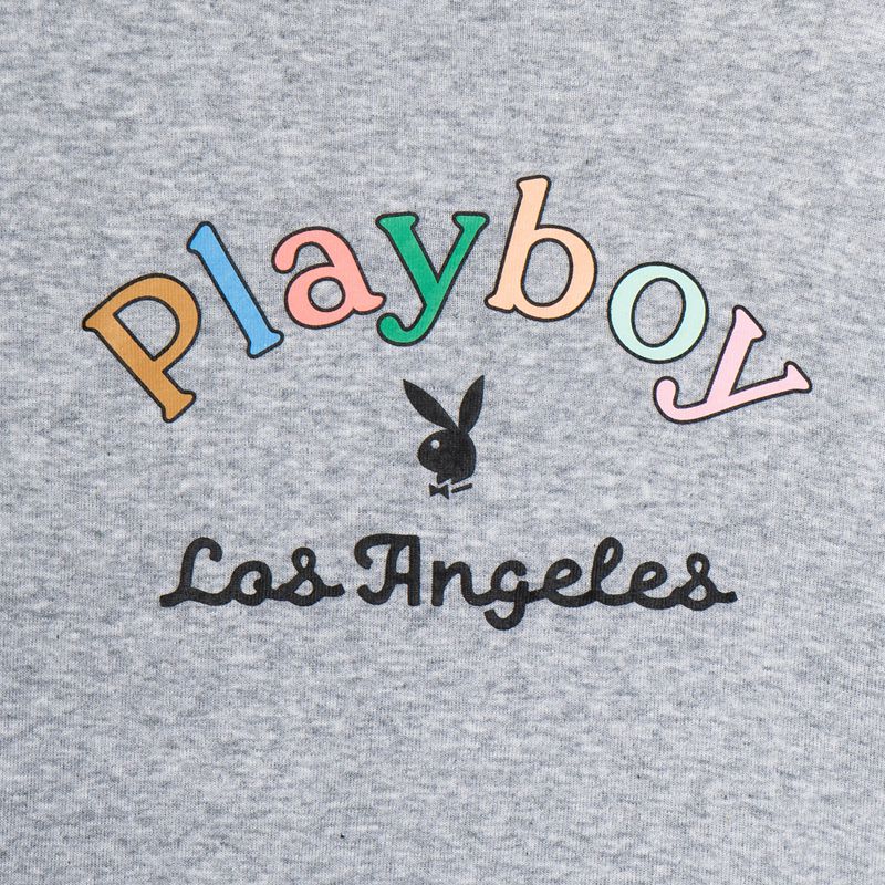 Tank Playboy Rainbow Masthead Long Sleeve Mujer Grises | 5681-WHJKL